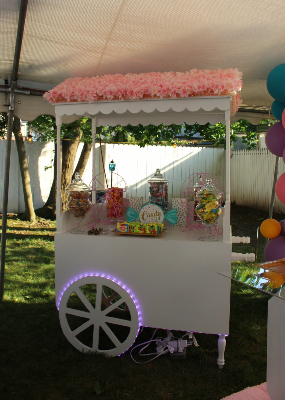 Candy Cart w. LED Lights Tulare County, Kern County, Central California