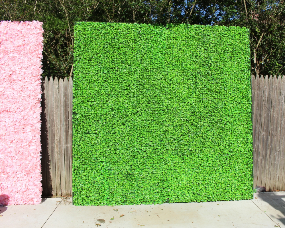 Grass Walls (8x8)  Backdrops (Any size) Tulare County, Kern County, Central California
